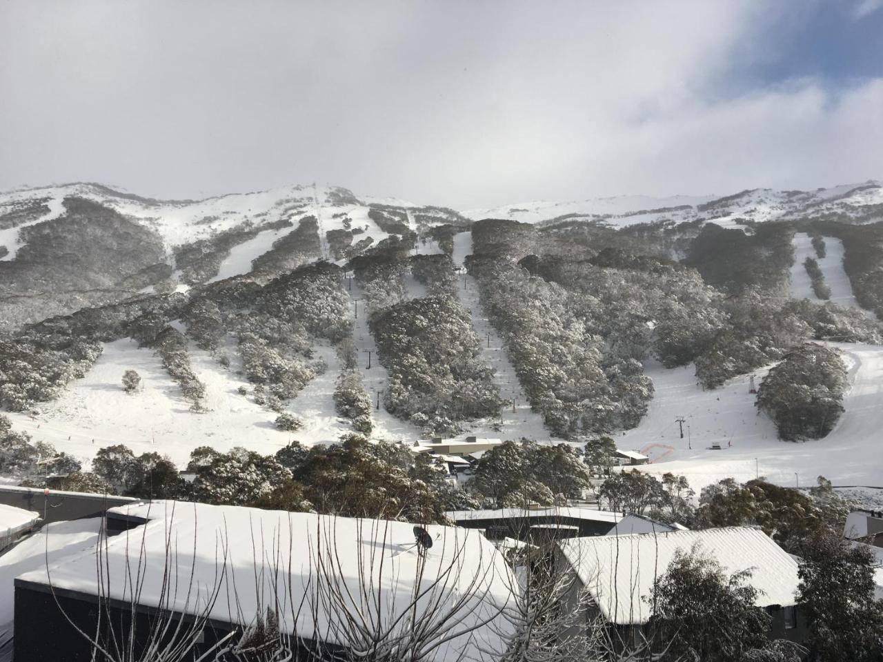 Kasees Apartments & Mountain Lodge Тредбо Экстерьер фото